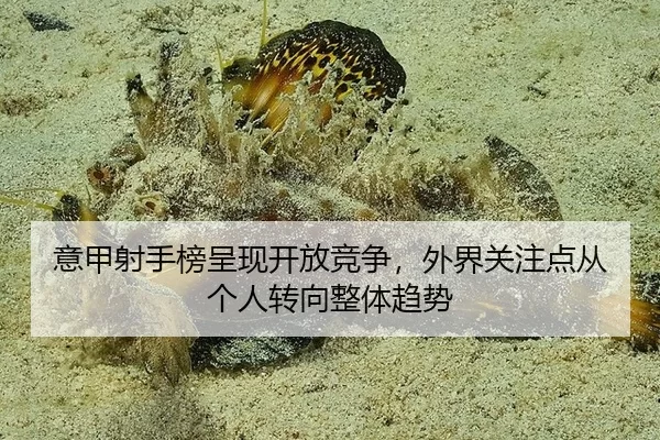 意甲射手榜呈现开放竞争，外界关注点从个人转向整体趋势
